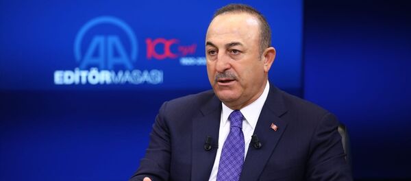 Mevlüt Çavuşoğlu - Sputnik Türkiye