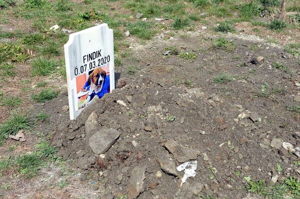 Fındık'ın gömülmesinden sonra Erkoç, Fındık'ın giydiği önlüğü mezarının üzerine koydu. Erkoç'un, gözyaşlarına hakim olamadığı görüldü. - Sputnik Türkiye