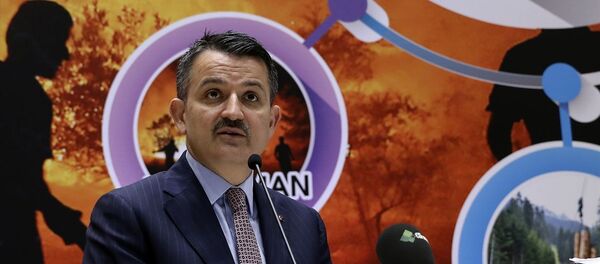 Bekir Pakdemirli Bekir Pakdemirli - Sputnik Türkiye