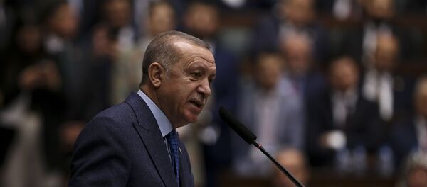 Recep Tayyip Erdoğan - Sputnik Türkiye