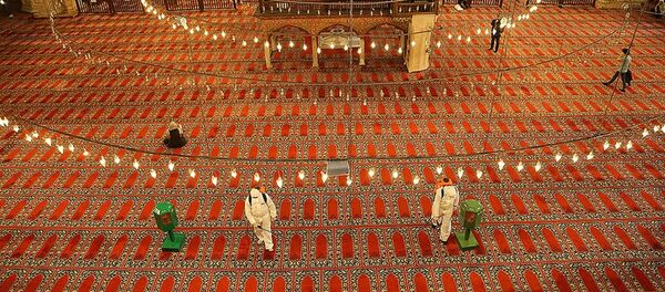 Selimiye Camisi koronavirüs tehlikesine karşı dezenfekte edildi Selimiye Camisi koronavirüs tehlikesine karşı dezenfekte edildi - Sputnik Türkiye