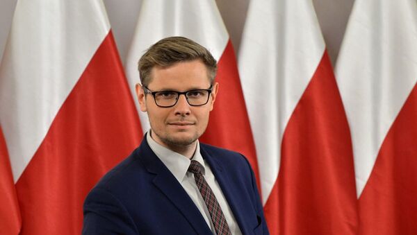 Polonya Çevre Bakanı Michal Wos - Sputnik Türkiye
