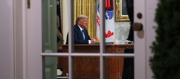 ABD Başkanı Donald Trump ABD Başkanı Donald Trump - Sputnik Türkiye