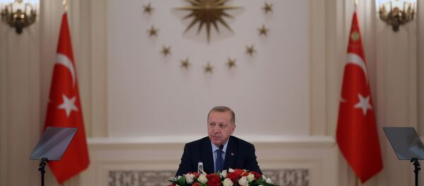 Cumhurbaşkanı Recep Tayyip Erdoğan - Sputnik Türkiye