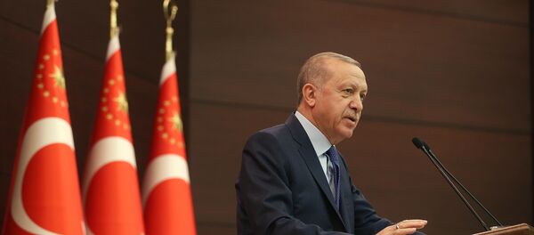 Recep Tayyip Erdoğan Recep Tayyip Erdoğan - Sputnik Türkiye