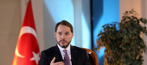 Hazine ve Maliye Bakanı Berat Albayrak  - Sputnik Türkiye