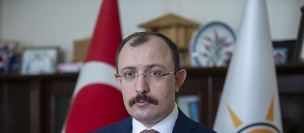 AK Parti Grup Başkanvekili Mehmet Muş - Sputnik Türkiye