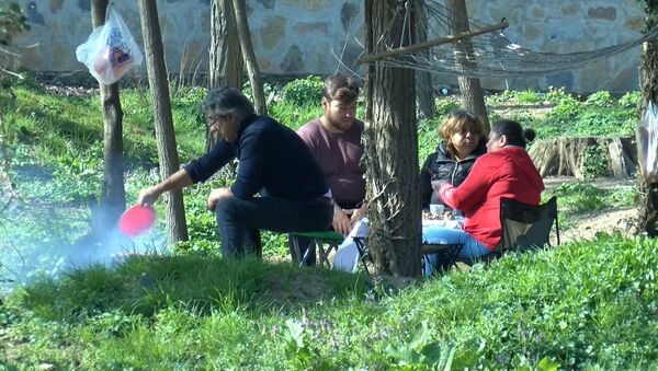 Koronavirüs uyarını dinlemeyen piknikçiler Belgrad Ormanı'na akın etti - Sputnik Türkiye