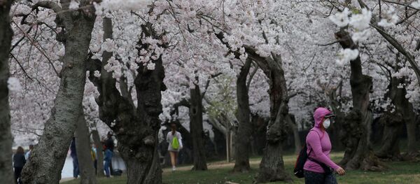 ABD-koronavirüs ABD-koronavirüs - Sputnik Türkiye