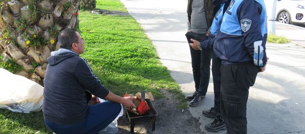 Parklarda mangal - Sputnik Türkiye