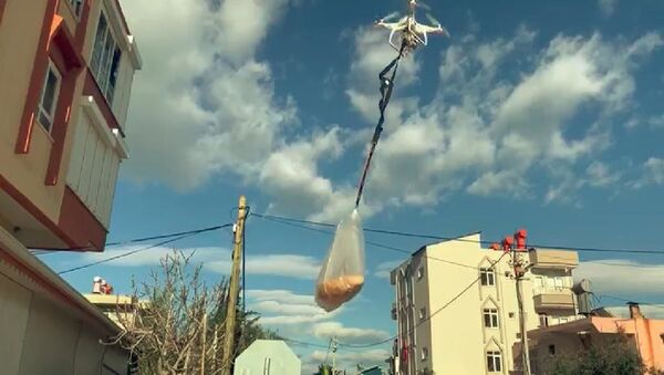 Evden çıkamadı, alışveriş için evden markete drone yolladı - Sputnik Türkiye
