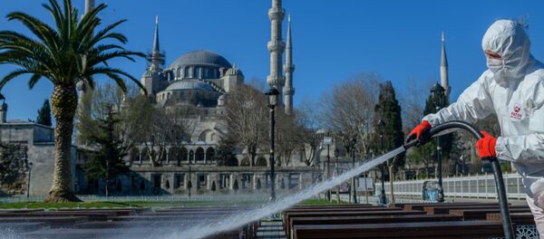 Türkiye - koronavirüs - Sputnik Türkiye