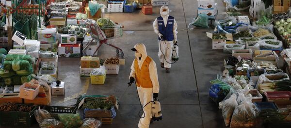 Профилактические меры против распространения коронавируса в Сеуле Профилактические меры против распространения коронавируса в Сеуле - Sputnik Türkiye