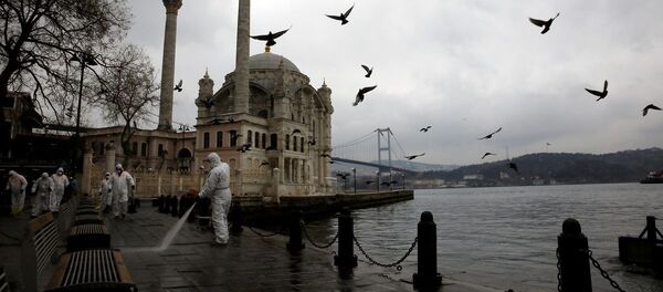İstanbul, Ortaköy, koronavirüs - Sputnik Türkiye
