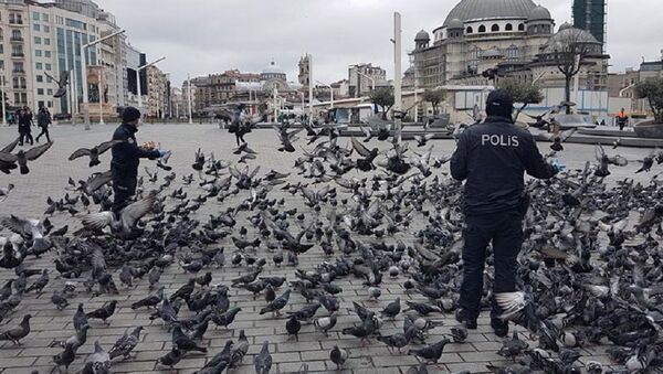 Taksim'de aç kalan güvercinleri polisler besledi - Sputnik Türkiye