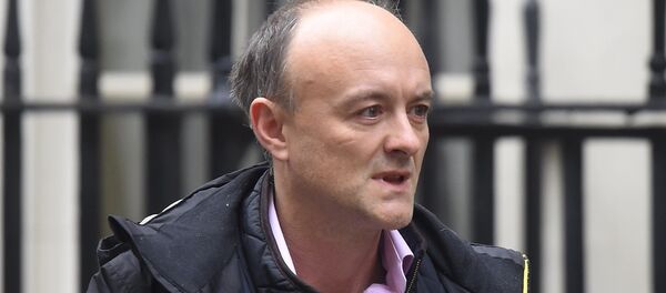 Dominic Cummings - Sputnik Türkiye