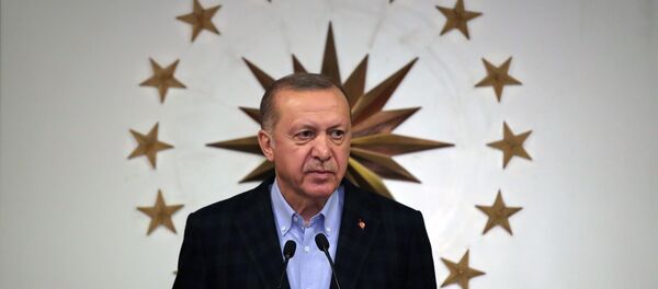 Cumhurbaşkanı Recep Tayyip Erdoğan - Sputnik Türkiye