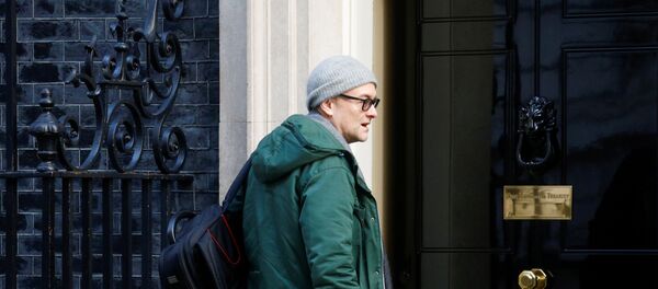 İngiltere Başbakanı Boris Johnson'ın Başdanışmanı Dominic Cummings - Sputnik Türkiye