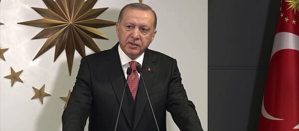 Cumhurbaşkanı Recep Tayyip Erdoğan - Sputnik Türkiye