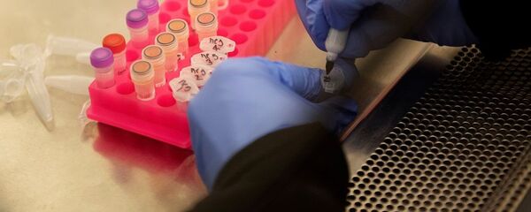 Koronavirüs-tüp-deney-sıtma - Sputnik Türkiye