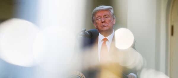 Donald Trump - Sputnik Türkiye