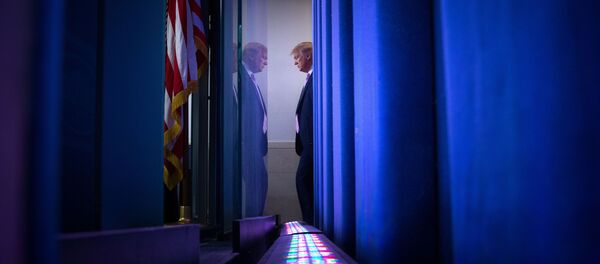 ABD Başkanı Donald Trump - Sputnik Türkiye