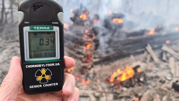 Çernobil'de çıkan orman yangın sonucu radyasyon seviyesi 16.5 kat arttı - Sputnik Türkiye