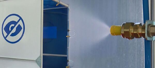 Dezenfektan kabini Dezenfektan kabini - Sputnik Türkiye