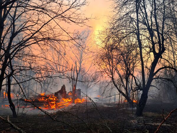 Çernobil'de orman yangını - Sputnik Türkiye