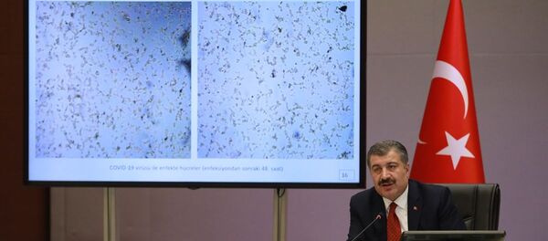 Sağlık Bakanı Fahrettin Koca, video konferans ile katıldığı Koronavirüs Bilim Kurulu toplantısı sonrası düzenlenen basın toplantısında açıklamalarda bulundu. - Sputnik Türkiye