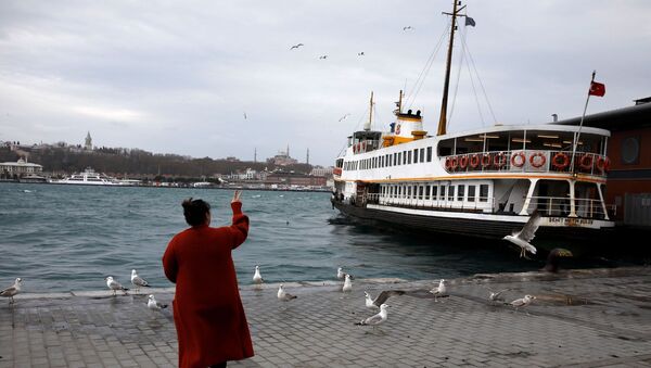 İstanbul-vapur - Sputnik Türkiye