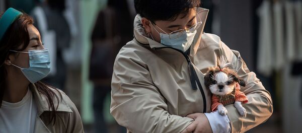 Çin-koronavirüs-köpek - Sputnik Türkiye