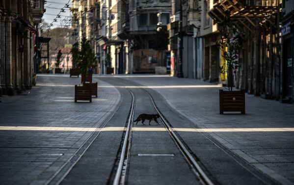 Yasak sonrası İstanbul'da cadde ve sokaklar boş kaldı - Sputnik Türkiye