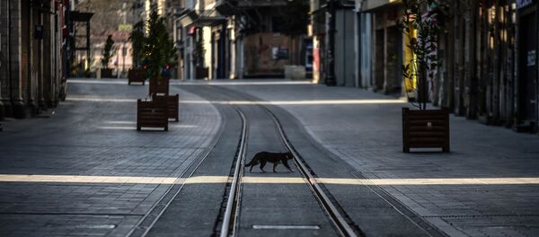 Yasak sonrası İstanbul'da cadde ve sokaklar boş kaldı - Sputnik Türkiye