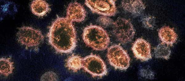 SARS-CoV-2 - Sputnik Türkiye