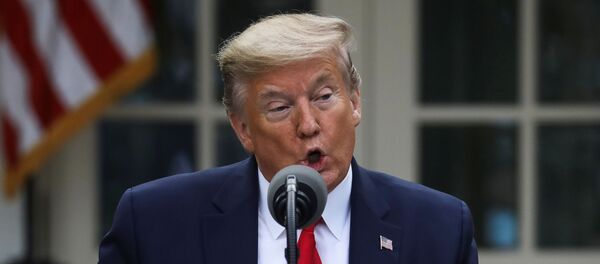 Donald Trump - Sputnik Türkiye