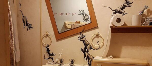 Efsanevi sokak sanatçısı Banksy, son eserini karantina altındayken yarattı. - Sputnik Türkiye
