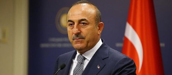 Mevlüt Çavuşoğlu - Sputnik Türkiye