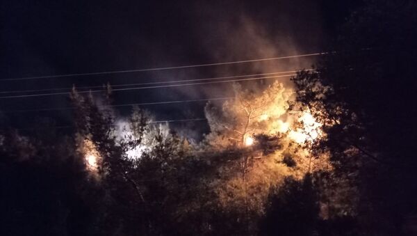 İzmir’in Bornova ilçesinde bulunan ormanlık olanda yüksek gerilim tellerinin koparak ağaçların üzerine düşmesi sonucu yangın çıktı - Sputnik Türkiye