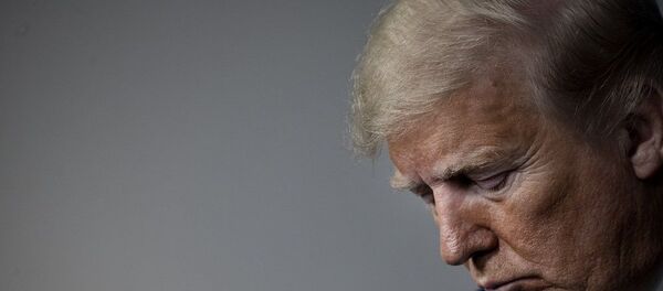 ABD Başkanı Donald Trump - Sputnik Türkiye