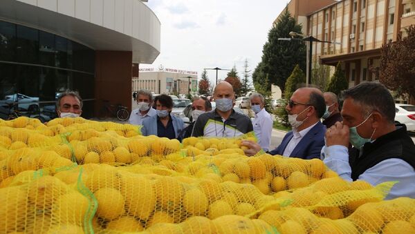 Nevşehir'de sağlık çalışanlarına limon dağıtıldı - Sputnik Türkiye