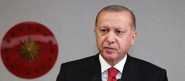 Recep Tayyip Erdoğan - Sputnik Türkiye