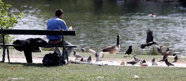 Paris - Sputnik Türkiye