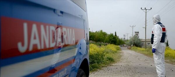 Karantina, koronavirüs - Sputnik Türkiye