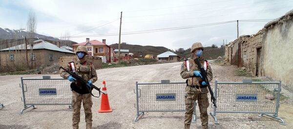 Van - Başkale - Örmetaş Mahallesi - Sputnik Türkiye