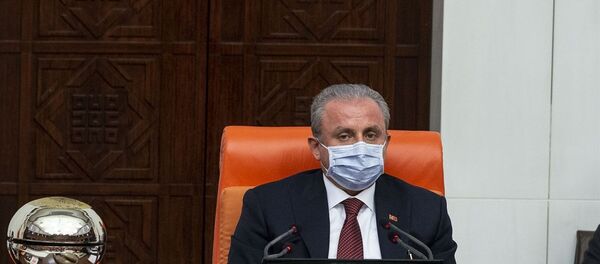 Mustafa Şentop maske - Sputnik Türkiye