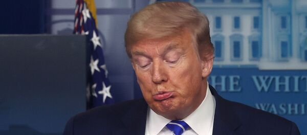 Başkan Donald Trump, koornavirüs görev gücü basın toplantısında, Beyaz Saray, Washington, ABD, 23 Nisan 2020 - Sputnik Türkiye