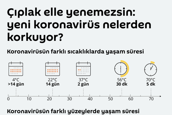 İnfografik - Sputnik Türkiye