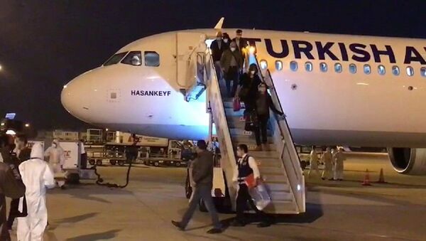Rusya ve Almanya’dan getirilen 527 kişi Adana ve Mersin'de karantinaya alındı - Sputnik Türkiye