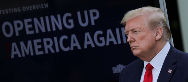 Donald Trump Donald Trump - Sputnik Türkiye